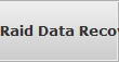 Raid Data Recovery Lyons raid array